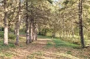 935 Lakewood Hills Rd, Eagan, MN 55123 - Photo 89