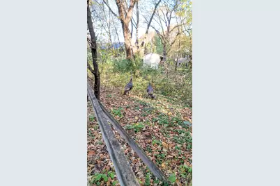 935 Lakewood Hills Road, Eagan, MN 55123 - Photo 101