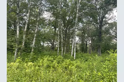 Tbd Greer Lake Road, Crosby, MN 56441 - Photo 25