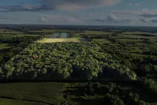 15260 360th St, Center City, MN 55012 - Photo 13