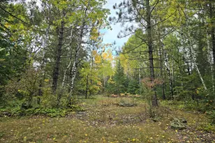 3696 Co Rd 142, International Falls, MN 56649 - Photo 13