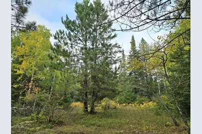 3696 County Road 142, International Falls, MN 56649 - Photo 17