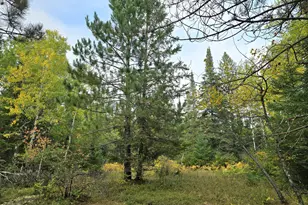 3696 Co Rd 142, International Falls, MN 56649 - Photo 17