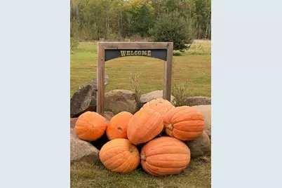 8379 Deer Valley Road, Pine City, MN 55063 - Photo 7