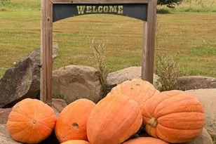 8379 Deer Valley Rd, Pine City, MN 55063 - Photo 7