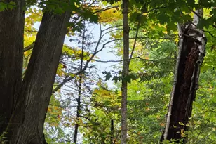 19198 Farington Ln NE, Hines, MN 56647 - Photo 47