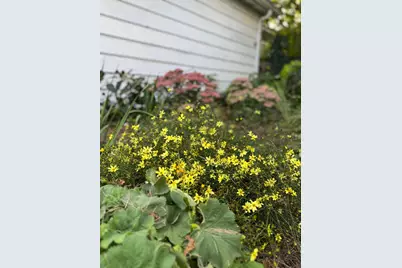 328 13th Avenue NE, Minneapolis, MN 55413 - Photo 33