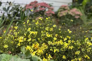 328 13th Ave NE, Minneapolis, MN 55413 - Photo 33