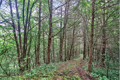 3100 W 230th Street, Helena Township, MN 55352 - Photo 15