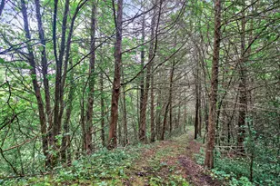 3100 W 230th St, Helena Township, MN 55352 - Photo 15