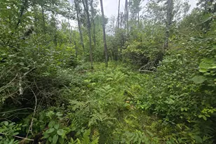 8771 Deer Ln, Ojibwa, WI 54862 - Photo 11