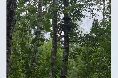 8771 Deer Lane, Ojibwa, WI 54862 - Photo 13