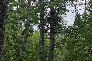 8771 Deer Ln, Ojibwa, WI 54862 - Photo 13