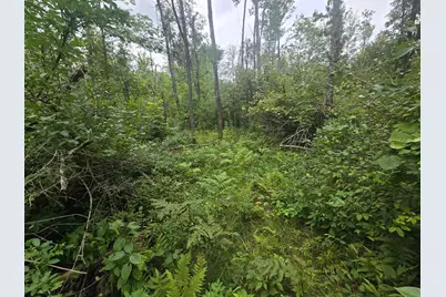 8771 Deer Lane, Ojibwa, WI 54862 - Photo 11