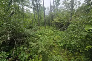 8771 Deer Ln, Ojibwa, WI 54862 - Photo 11