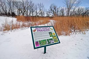 14230 44th Pl N, Plymouth, MN 55446 - Photo 37