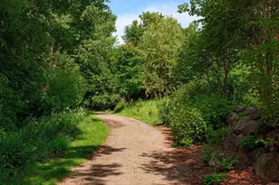 14230 44th Pl N, Plymouth, MN 55446 - Photo 31