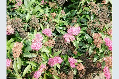 40559 321st Lane, Aitkin, MN 56431 - Photo 79