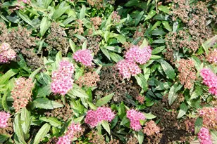 40559 321st Ln, Aitkin, MN 56431 - Photo 79