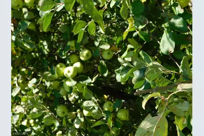 40559 321st Lane, Aitkin, MN 56431 - Photo 83