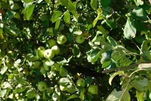 40559 321st Ln, Aitkin, MN 56431 - Photo 83