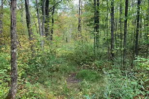 14331 395th Ln, Salo Twp, MN 55787 - Photo 37