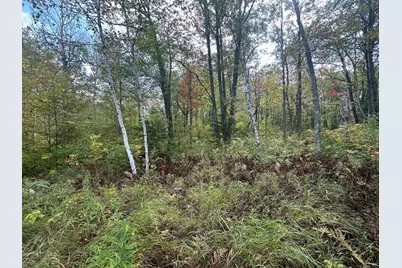 14331 395th Lane, Salo Twp, MN 55787 - Photo 55