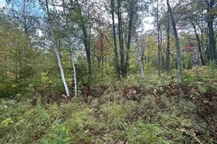 14331 395th Ln, Salo Twp, MN 55787 - Photo 55