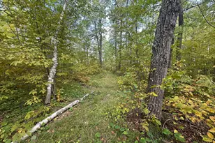 14331 395th Ln, Salo Twp, MN 55787 - Photo 19