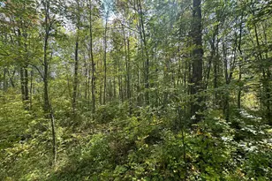 14331 395th Ln, Salo Twp, MN 55787 - Photo 57