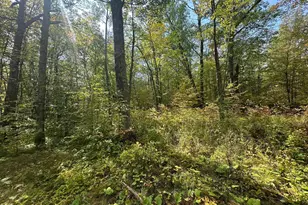 14331 395th Ln, Salo Twp, MN 55787 - Photo 17