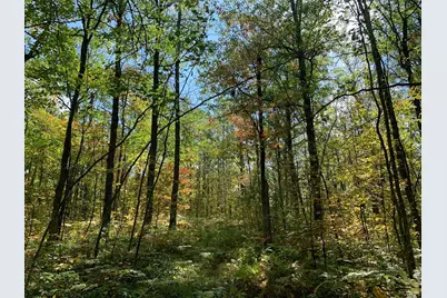 14331 395th Lane, Salo Twp, MN 55787 - Photo 15