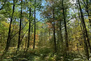 14331 395th Ln, Salo Twp, MN 55787 - Photo 15