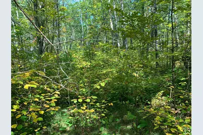 14331 395th Lane, Salo Twp, MN 55787 - Photo 41