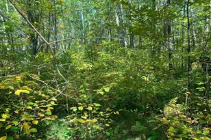 14331 395th Ln, Salo Twp, MN 55787 - Photo 41