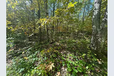 14331 395th Lane, Salo Twp, MN 55787 - Photo 59