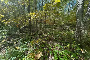 14331 395th Ln, Salo Twp, MN 55787 - Photo 59