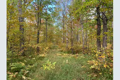 14331 395th Lane, Salo Twp, MN 55787 - Photo 39