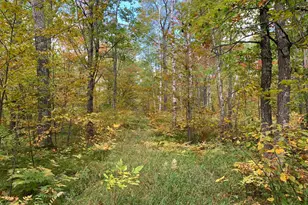 14331 395th Ln, Salo Twp, MN 55787 - Photo 39