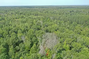 29031 French Rd, Danbury, WI 54830 - Photo 29