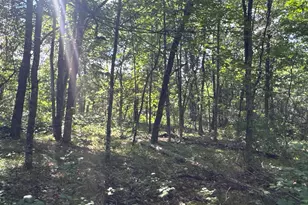 29031 French Rd, Oakland, WI 54830 - Photo 19