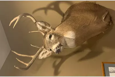 29031 French Road, Oakland, WI 54830 - Photo 33