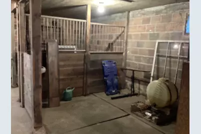 28674 810th Avenue, Hollandale, MN 56045 - Photo 65