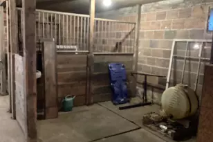 28674 810th Ave, Hollandale, MN 56045 - Photo 65