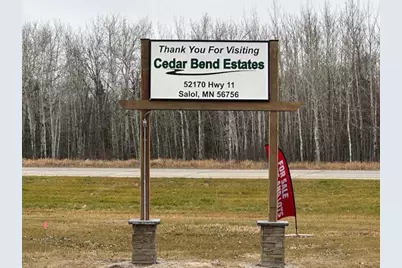 52170 State Hwy 11 #Lot 29, Salol, MN 56756 - Photo 9