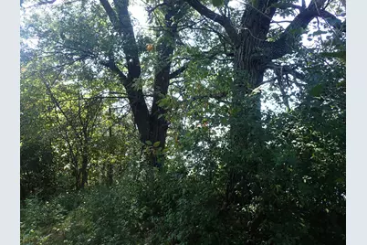 Tbd8.5 County Road 106, Monticello, MN 55362 - Photo 29