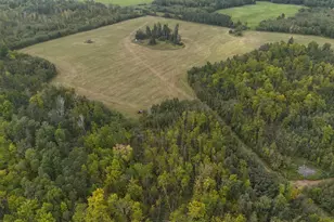 Tbd Easement Access, Bagley, MN 56621 - Photo 1