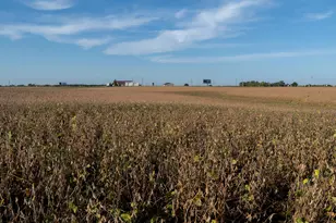 41474 460th St, Perham, MN 56573 - Photo 17