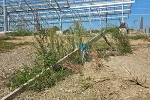 16385 310th St, Shafer Twp, MN 55012 - Photo 31