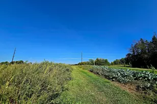 16385 310th St, Shafer Twp, MN 55012 - Photo 47